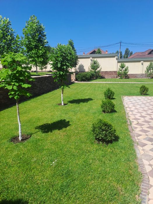 Автополив Газон Водапад 100%