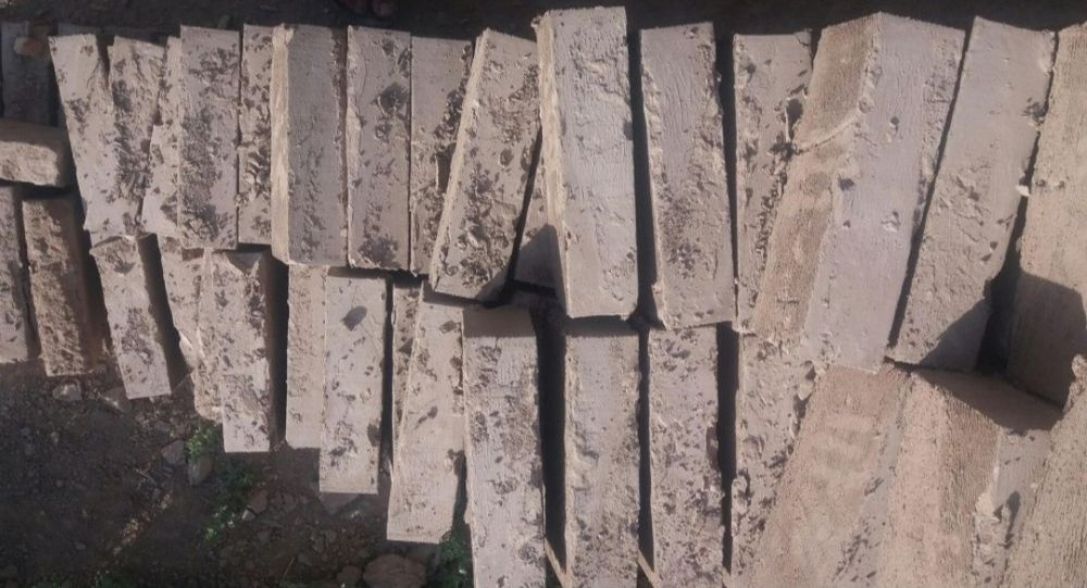 Хом карвуч Хом Гишт