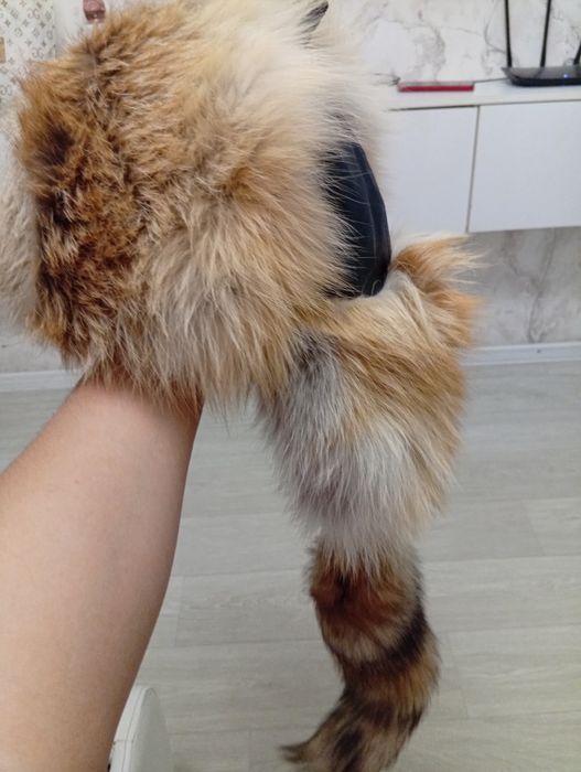 Продам Малахай лиса