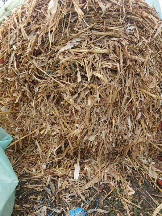 Vindem baloti rotunzi de coceni