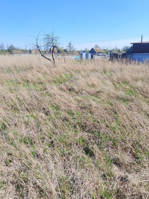 Продам дачу общество борки