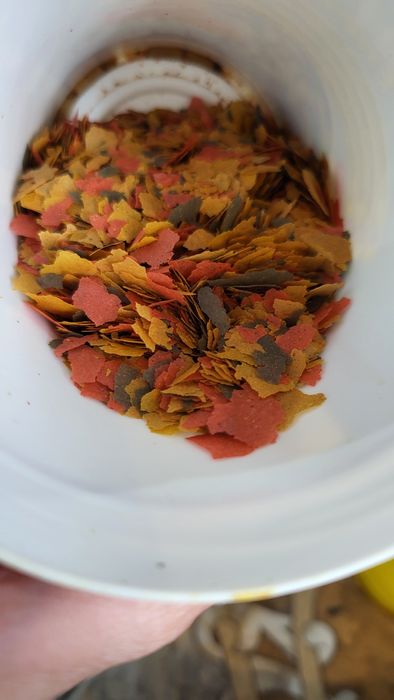 Корм для рыб Tetra цена за 100 гр