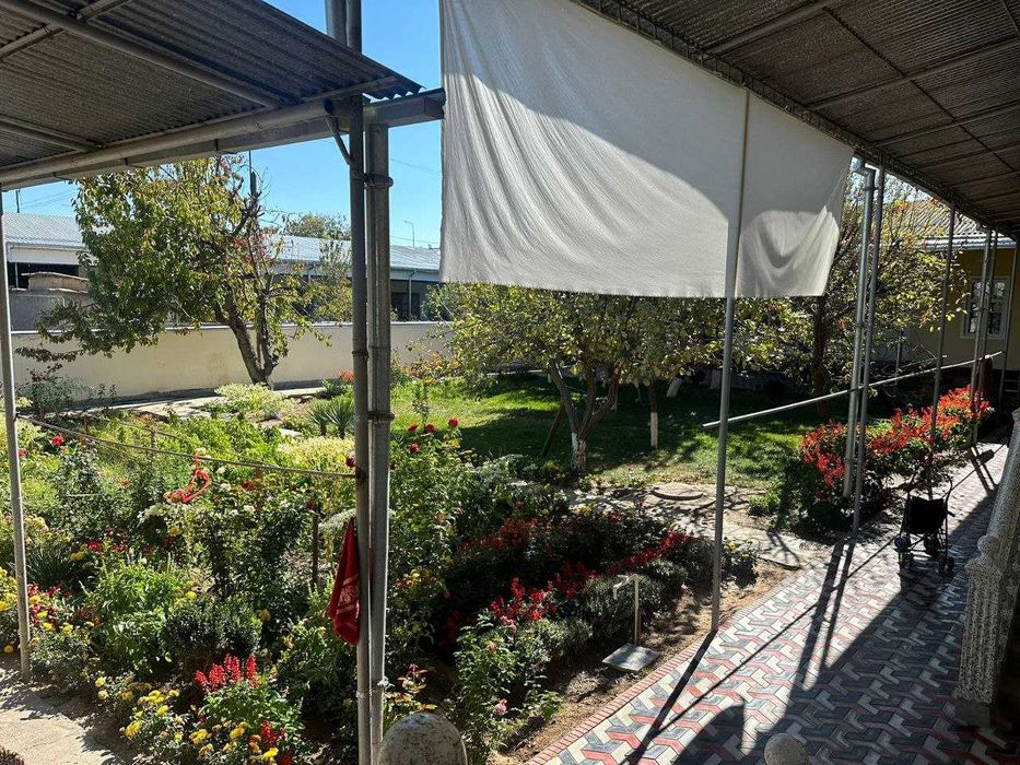 Тошкент тумвни кук терак