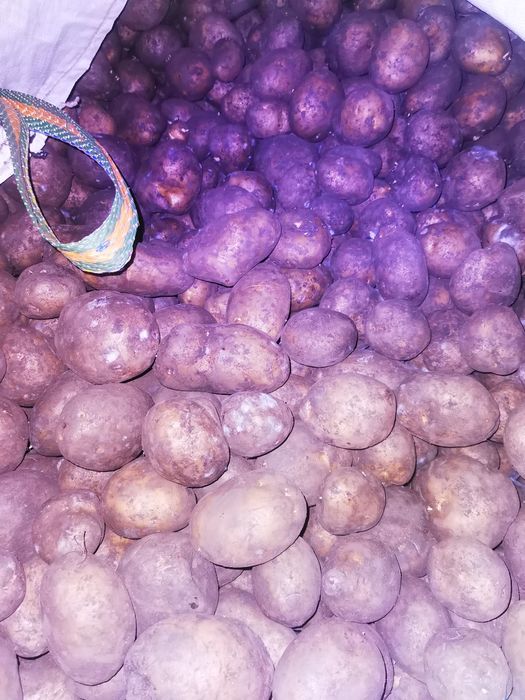 Vând 2,tone cartofi