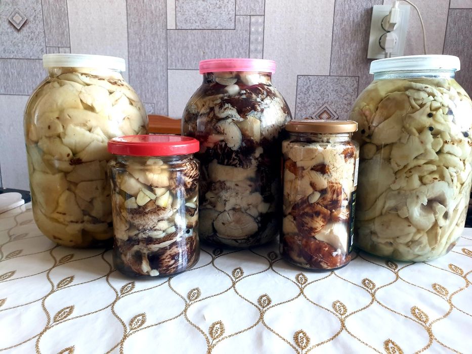 Продам солёные грибы