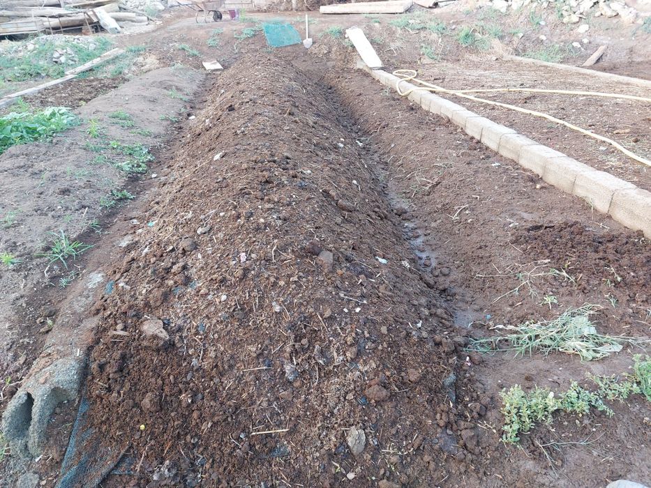 Калифорнии чаени ва биогомус