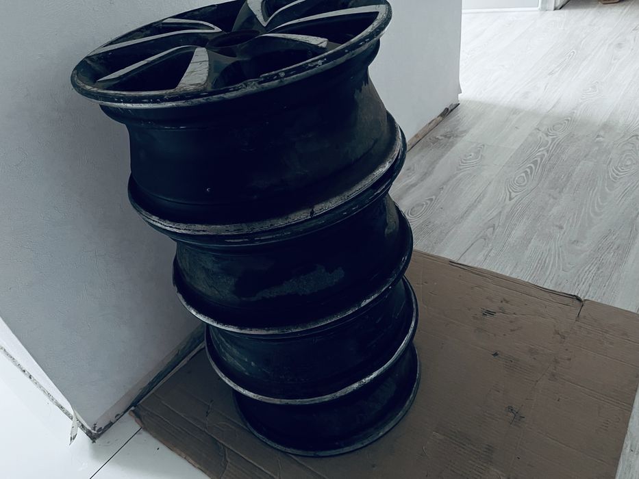 Диск Бренд K&K игуана