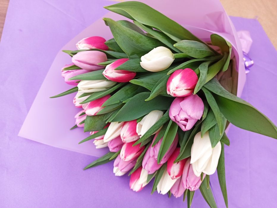 Тюльпаны оптом и в розницу