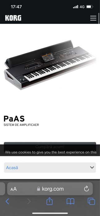 Boxa pass korg pa4x pa5x mk1 si mk2