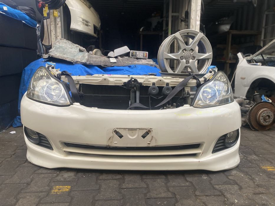 Ноускат для Ипсум