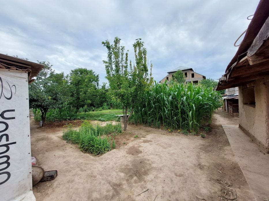 Катта Кани маххаласида xовли (хонадон) 10 сотих