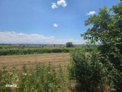 Teren Extravilan cota parte 3/16, Prundu, ID: R3316920