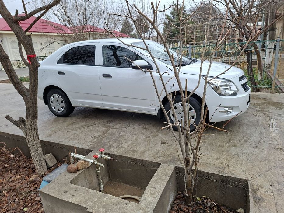 Кобалт сотилади.