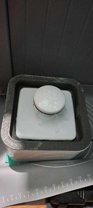 Fantana apa pentru pisici.