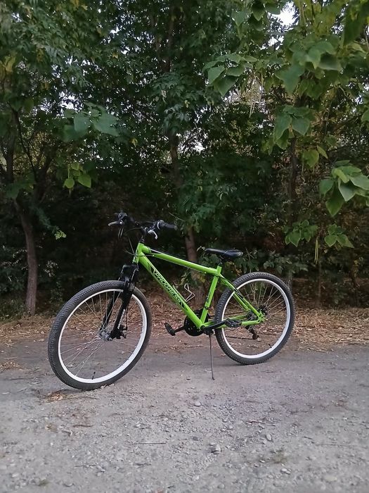 Progress Advance Disc.