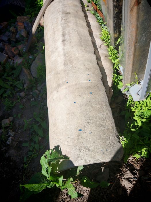 Срочно отдам лотки