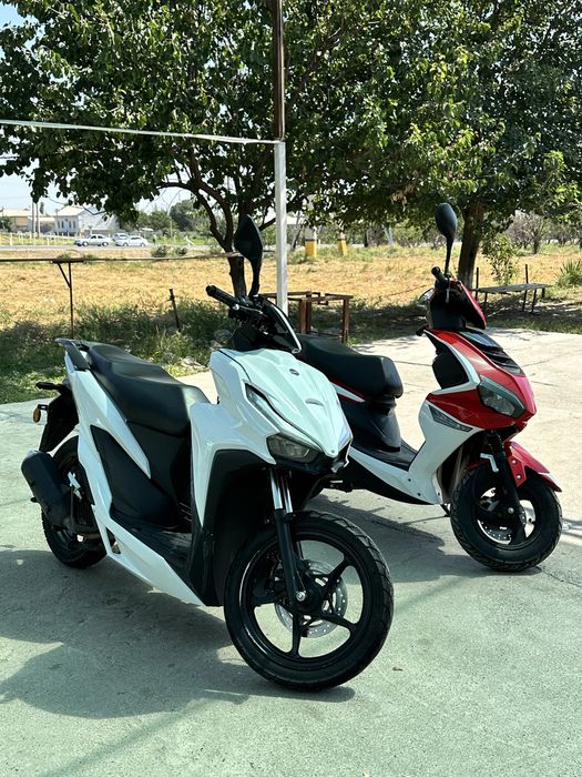 Oq rangi 600 $  kelshmiz otib berdigan joyi bor
