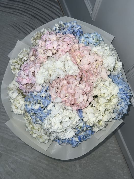 свежие гортензии …