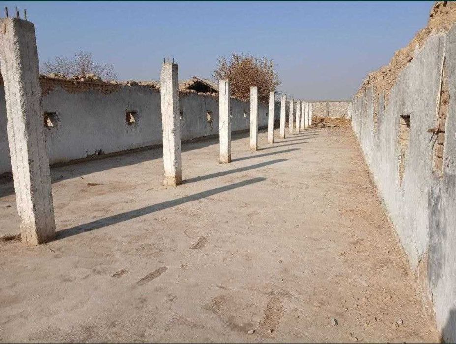 СРОЧНО! Ферма сотилади. Тошкент вилояти Уртасарай