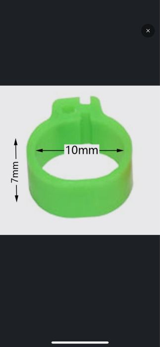 Продам Кольца для голубей