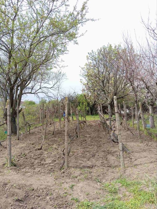 Парцел Ментешето