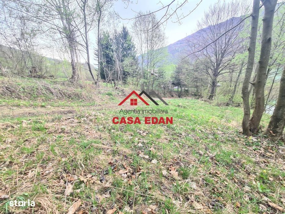 Teren intravilan in Valea Doftanei - Parajul Paltinu--1000 mp--120e