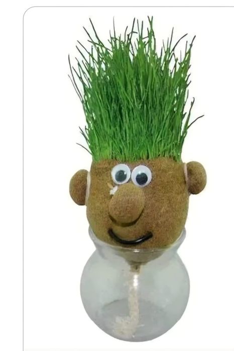 Plante verzi pentru copii