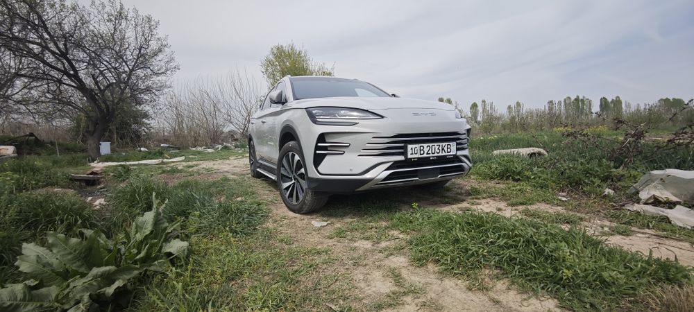 BYD Champion Flagship 150km DM-I