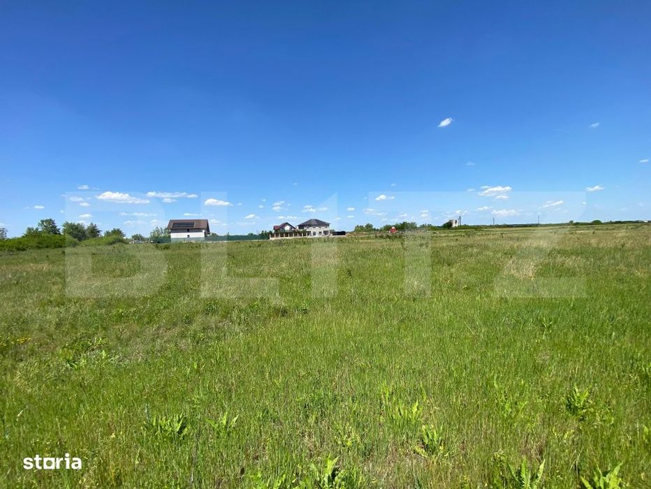 Teren intravilan Mosnita Noua  740mp Front 19m investitie zona  in dez