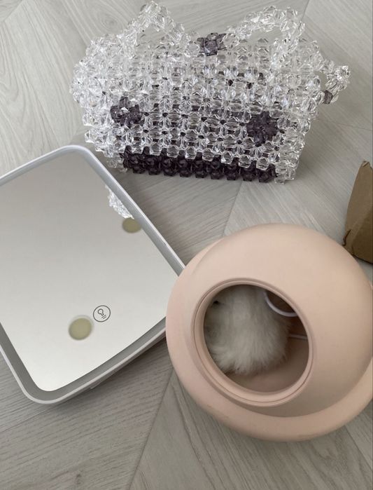 Бесплатно барлығы