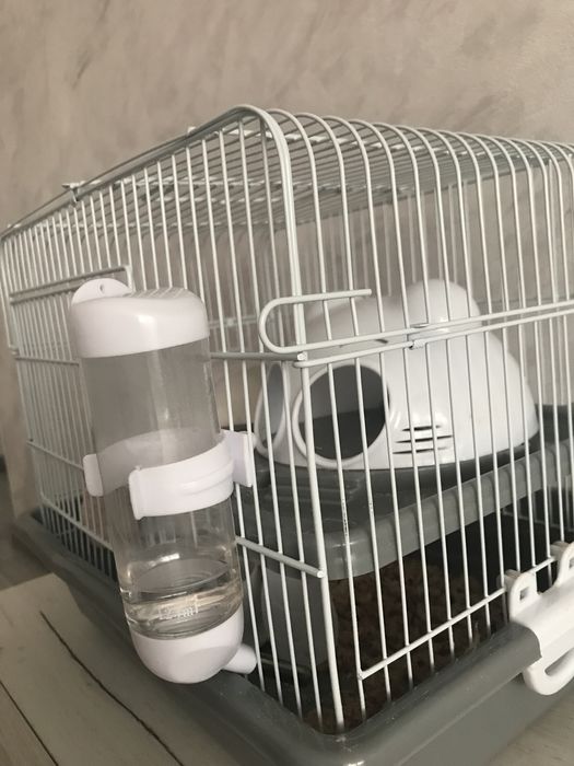 Продам Хомячка (Соня) , корм, клетка, шар