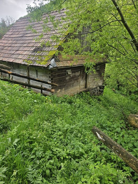 Vind poiata ,buna pt constructie cabana