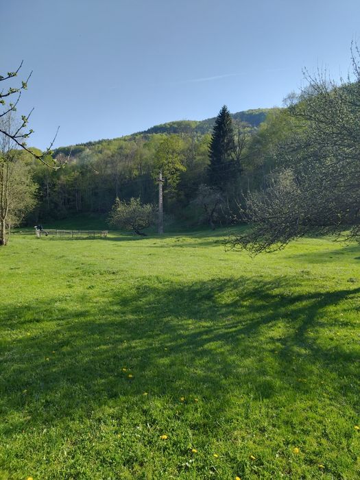 Teren de vanzare Av Iancu