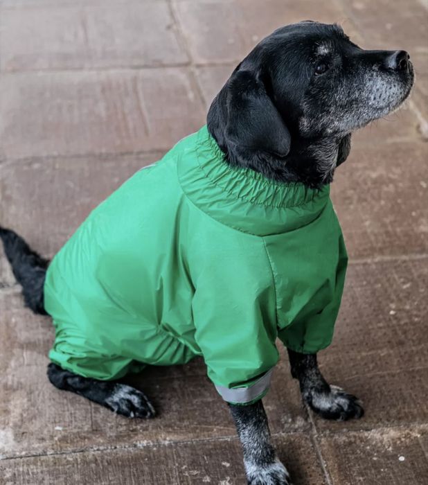 Одежда для собак