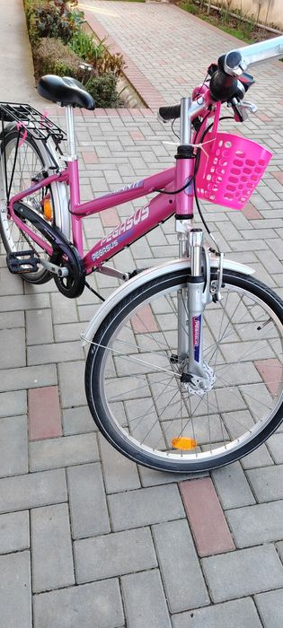 Pegasus roti 24, fete