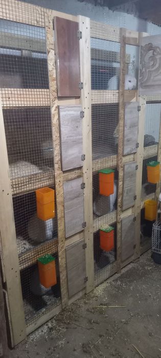 12 ta quyonga mo'ljallangan