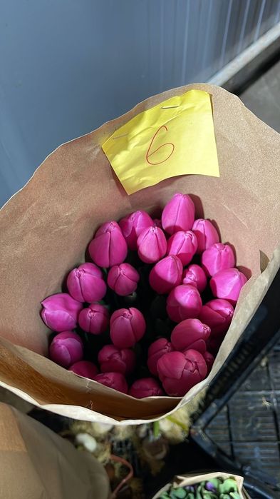 Тюльпаны на 8 марта