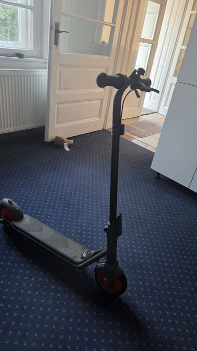 Vand trotineta Segway Ninebot ZING C20
