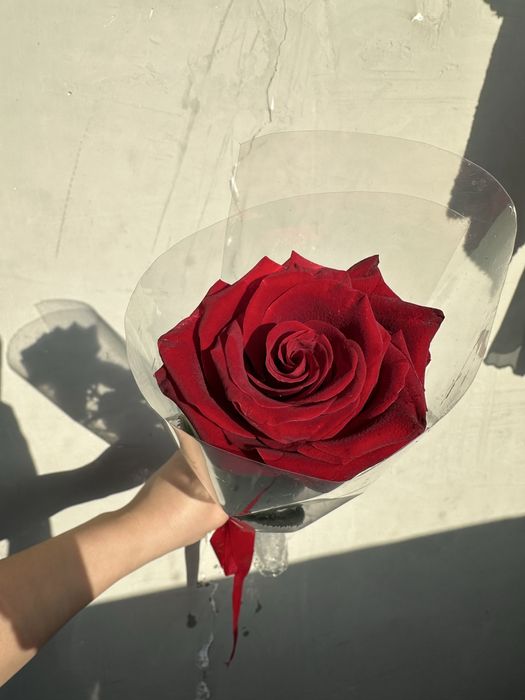 Букет из 1 Розы красная есть