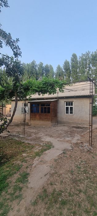 12 сотихли ХОВЛИ сотилади!