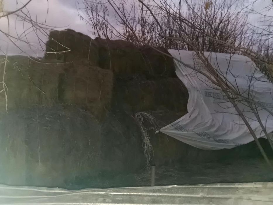 Продам сено в рулонах