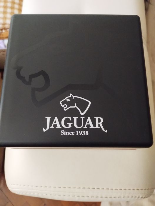 Jaguar executive diver