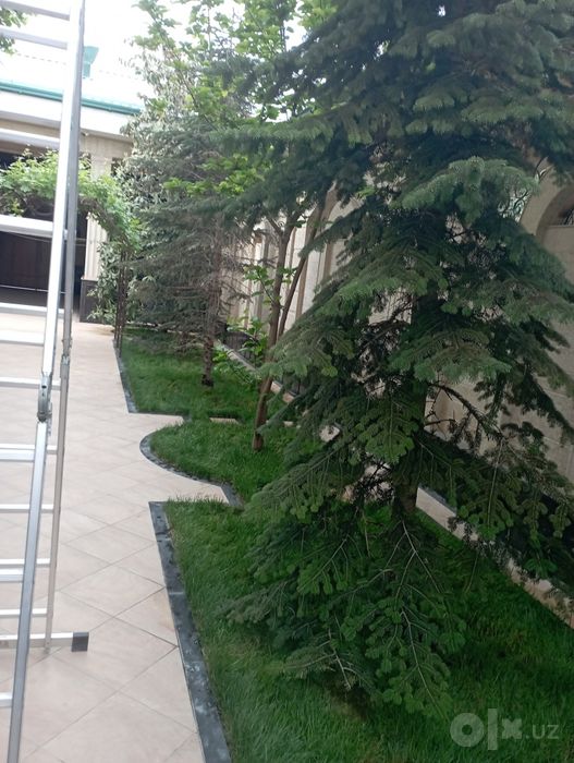 Archa ekish kesish dorilash xizmati