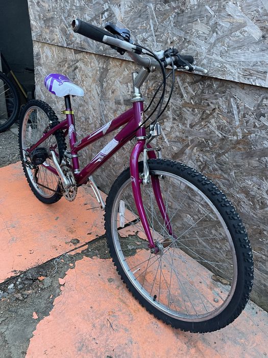 Bicicleta cadru dama raleigh roti 24”