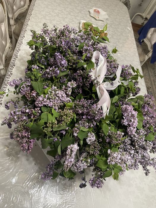 Сирень в корзине свежие