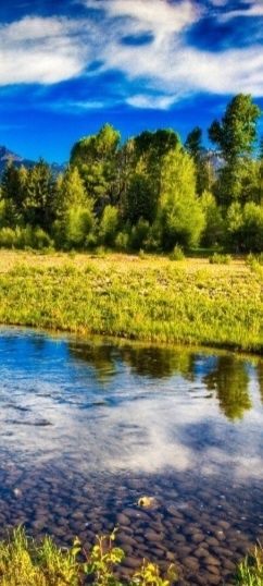 Үйден емдік классикалық мсссаж
