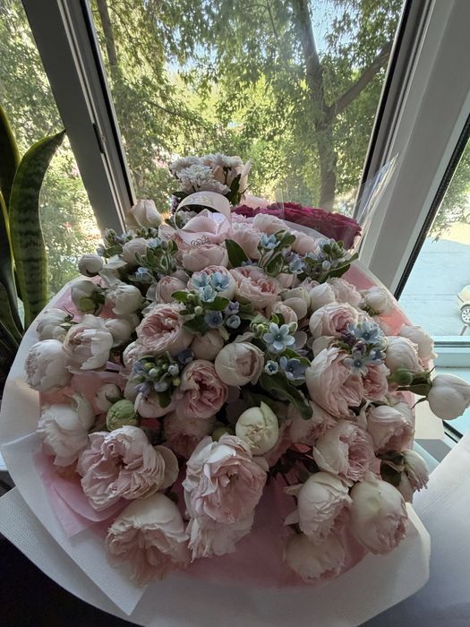 Продам цветы свежие