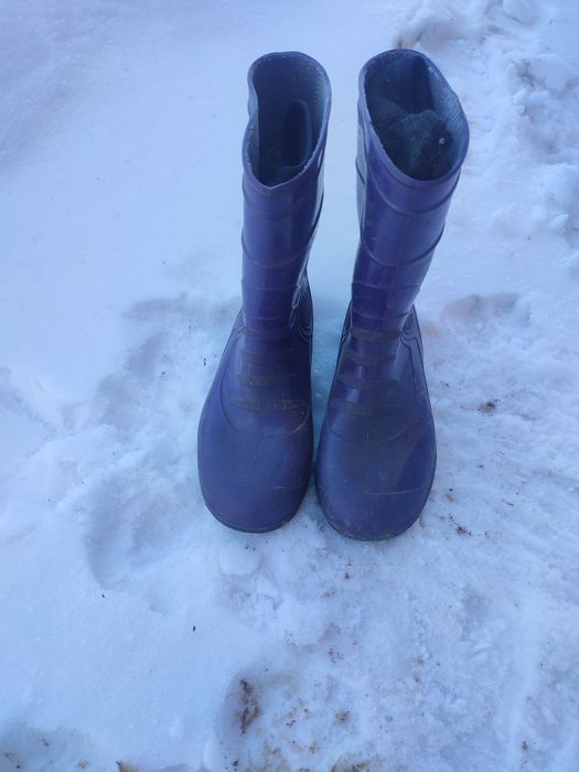 Резиновые сапоги
