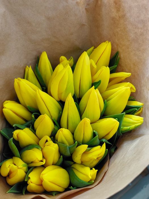 Букеты из тюльпанов | Астана