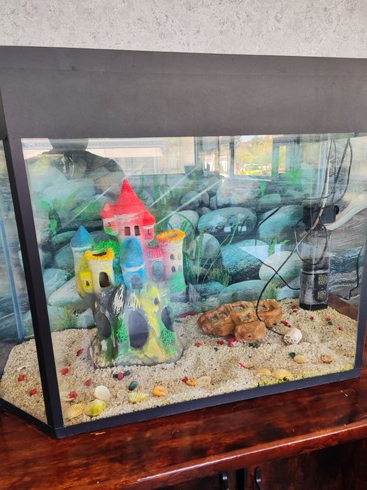 Аквариум  сотилади